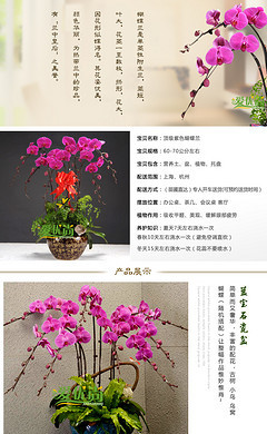 ○ 不變的眷戀。〃的個人主頁_90設計90sheji.com